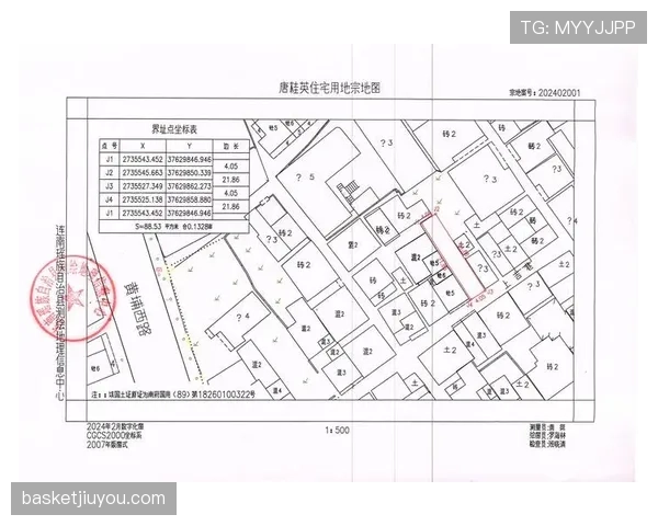 界外判定规则要点：出界标准与掷界权判定